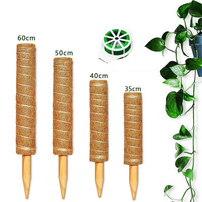 China Clear Pastoral Moss Pole Stick For Plants from Moss Pole Plastic Plastic Moss Pole for sale