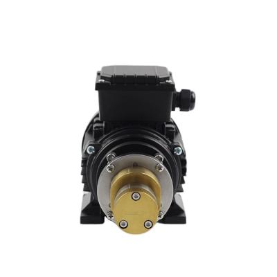 China Coffee Machine Continuous Working Speed ​​High Pressure Rotary Water Pump for sale