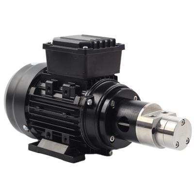 China Automotive Industry Long Life Universal Silent Electromagnetic Drive Water Electric Gear Pump for sale