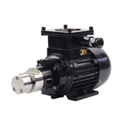 China G300XK AC380FB Low Noise Standard 380v 220v 5 Bar Water Pump Continuous Working High Quality Gear Pump for sale