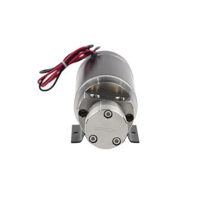 China Water Treatment Solutions DC Oil Transfer Water Pump Small Brushless Micro Magnetic Stainless Steel Chemical Internal Brushless Electric Motor for sale