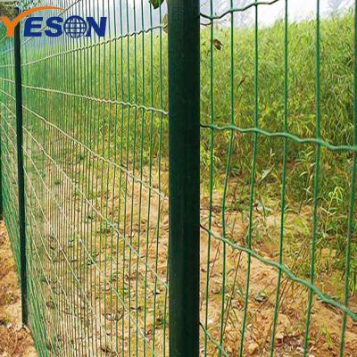 China Corrosion Resistance PVC Coated Euro Holland Welded Wire Mesh Fence For Garden Field for sale