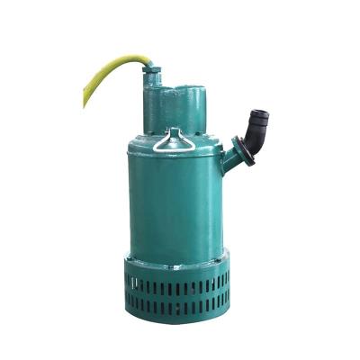 China 380/660 Or 660/1140 V Portable Submersible Sewage Pump 3000 R/Min for sale