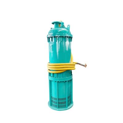 China Mining And Oil Extraction Explosion Proof Submersible Pumps 280kW 205hp 800m³/H 80m Large Flow for sale