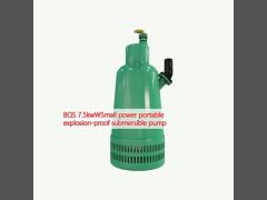 BQS 7.5kwWSmall power portable explosion-proof submersible pump