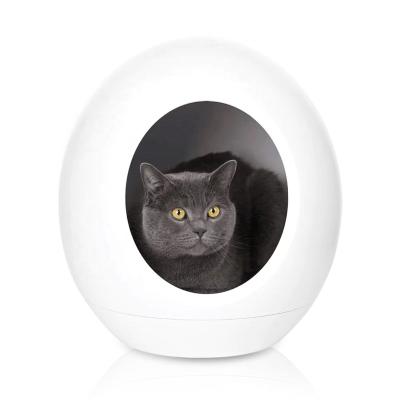 China Newest Novelty Breathable Smart Cat Nest Indoor Comfortable Electric Plastic Smart With WiFi Sensor Light Mat 5 Music Air Conditioner for sale