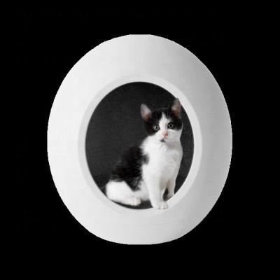 China Viable Indoor Cat Smart Nest With Mat 5 Wifi Music Sensor Cool Air Conditioner Waterproof Soft Light Winter Warm Summer for sale