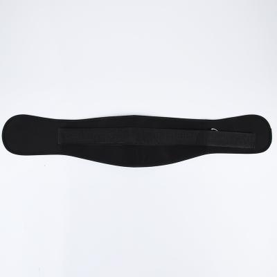 China Pad Neoprene Exercise Belt for sale