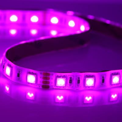 China IP65 SMD5050 60LEDs/m hotel cuttable LED strip CE/ROHS from waterproof flexible LED strip factory directly for sale