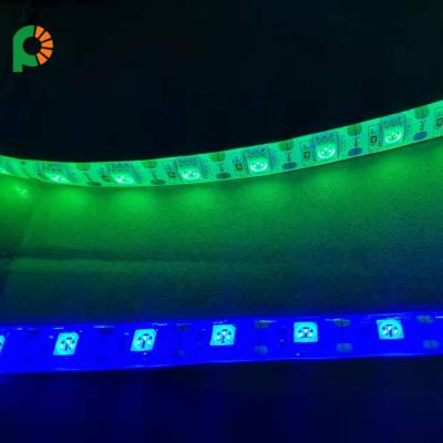 China High Quality Hotel 5V IP65 SMD5050 60LEDs/m Cable Led Strip For 5V LED Strip With USB Cable for sale