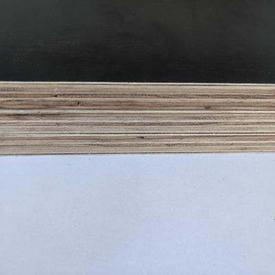 China Factory price AS/NZS 6669 FSC F17 industrial film faced plywood 1200x1800x17mm glue dynea phenolic film for sale