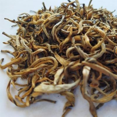 China Loose Golden Tea Yunnan Black Tea Tips With All Buds for sale