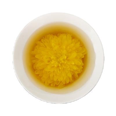 China Fresh loose tea chrysanthemum tea for sale