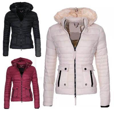 China Wholesale New Design Winter Women Anti-wrinkle Coated Padded Women Down Jackets for sale