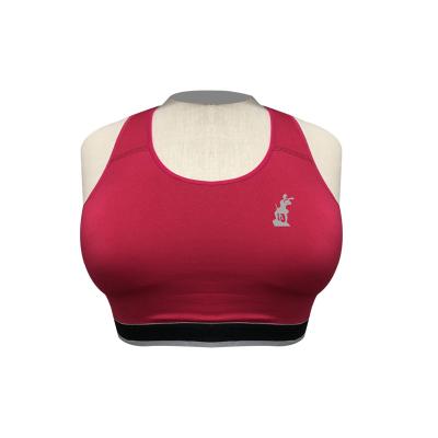 China High Quality Women's Athleisure Bra Breathable Sports Underwear for sale