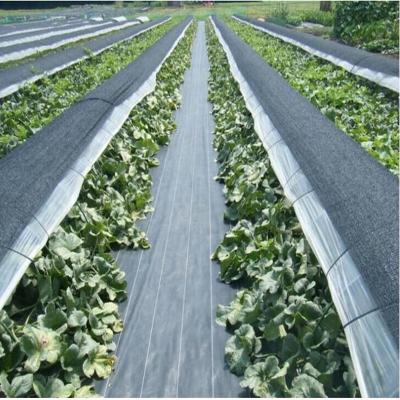 China High Quality Hydrated PP Woven Weed Control Fabric Weed Barrier Mat Ground Cover Fabric Weed Control Fabric From China for sale