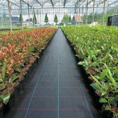 China High Quality Plastic Polypropylene PP Anti Weed Control Mat / Grass Landscape Cloth for sale