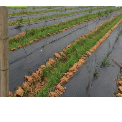 China Striped 100 Cover Ground Cover Weed Control Cloth Membrane Mulch for sale