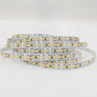 China Garden Super Bright High CRI 120Led SMD 2835 12V 24V Flex Led Strip Led From Hanron China for sale