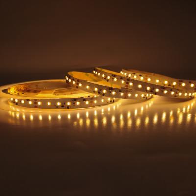 China Hotel DC24V 24V SMD 2835 2 in 1 120leds/m 10mm dual color temperature adjustable CCT led strip for sale