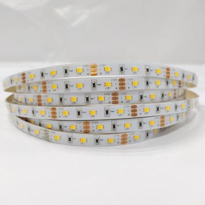 China Hotel CE ETL SMD 2835 Chip 60 2in1 Dual Color Dual Color Dimmable Adjustable Flexible Light Led Strip for sale