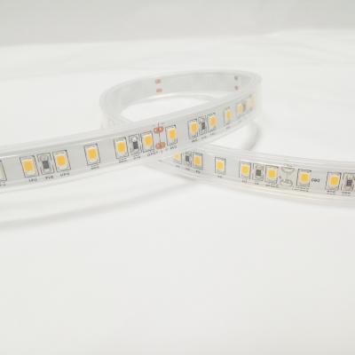 China Large Size 2835 Heat Resistant 10w Sauna 120leds/m Theme Park Up To 110 Degrees Led Strip for sale