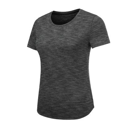 China New Product Fitness Women's Casual Fashion Clothes Breathable T-shirt Sport for sale