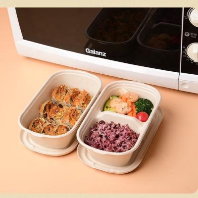 China Biodegradable Bagasse Lunch Box Eco Friendly Disposable Sugar Cane Paper Take Out Food Container for sale