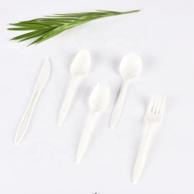 China Plastic Disposable Plastic Cutlery Manufactures Bulk Package Tableware Sets PP for sale