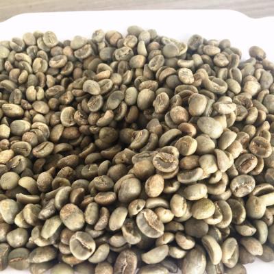 China Green AA Over Screen 18 GAA-MS Arabica Green Coffee Bean for sale