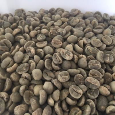 China Wholesale High Quality Arabica Coffee Bean Above 18 Screen Nansan for sale