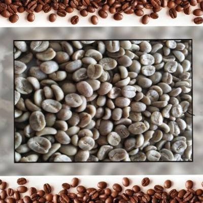 China Lowest Price - 100% Green Arabica Coffee Bean -- Grade.A -- China DH-HG-A for sale