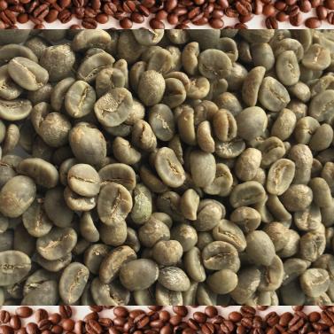 China Nature Green Coffee Bean - Arabica Grade-A DH-HG0A for sale