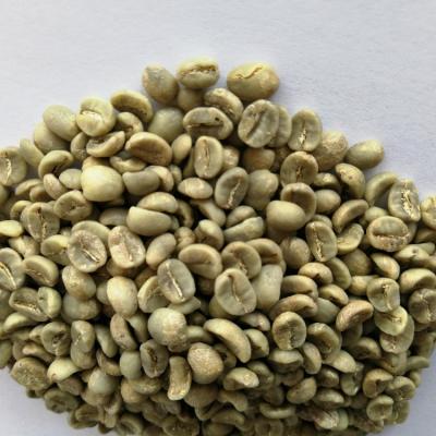 China Yunnan Green Coffee Bean Grade A for sale