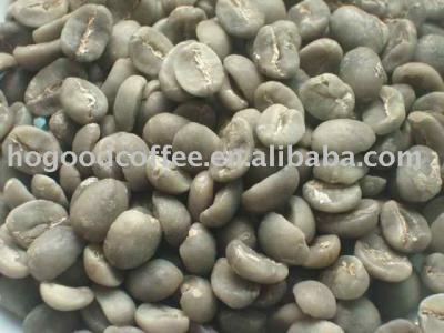 China Green Coffee Beans GA-MS for sale