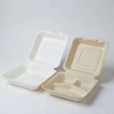 China AF24 8inch 14x14x8mm Large Biodegradable Hinge Hinge Hamburger Burger Salad Cake Food Sugar Cane Bagasse Pulp Bowl for sale