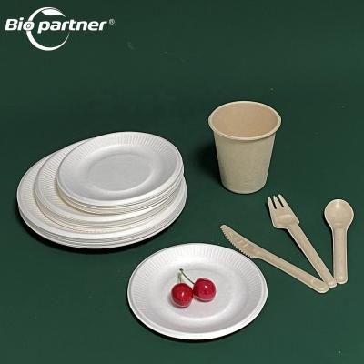 China AM1 Disposable Disposable Flatware Fork Spoon Cutlery Set Biodegradable Tableware Plate And Cup for sale