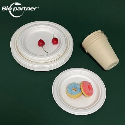 China AM11 Bagasse Disposable Tableware Supply Easter 12 in Set and Birthday Pack Party Supplies Dish Cup for sale