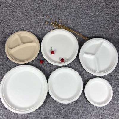 China Biodegradable Sugar Cane Bagasse Recycled Paper Plate Disposable Sugar Cane Disposable Paper Plate for sale