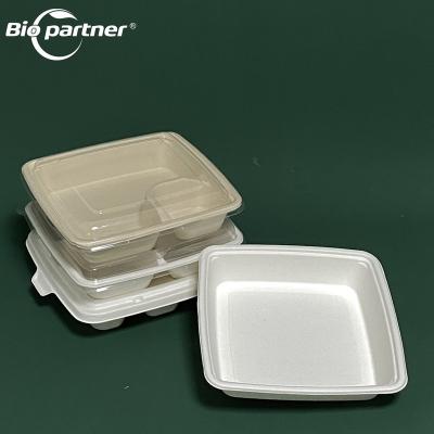 China Microwavable Disposable Container Wholesaler AK12 Degradable Biodegradable Food Bento Lunch Box With 1 Compartment 2 3 4 5 8 for sale