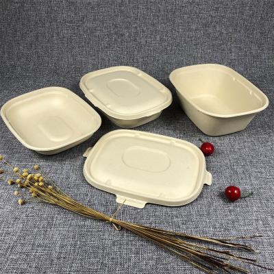 China Promotion 15%off Bagasse X09 New Clamshell Oval Food Container Takeout Box Sugarcane Bagasse Pulp Packaging Design Tableware Review for sale