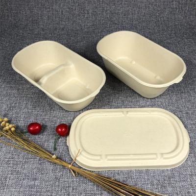 China A50 bagasse promotion 15%off biodegradable sugar cane empaques cajas paper pulp packing bio food compostable degradable packaging box for sale