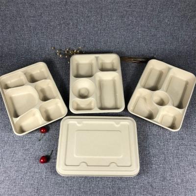 China X23 Bio Bagasse Promotion 15%off 1 Compartment Biodegradable Degradable Sugarcane Bagasse Food Container Disposable 4 Compartment for sale