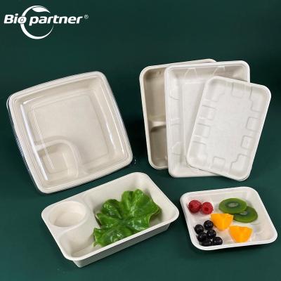 China AN4 3 Compartment Fruit Tray Disposable Lunch Catering Biodegradable Eco Friendly Biodegradable Food Sugarcane Disposable Tray and Dish with Lid for sale