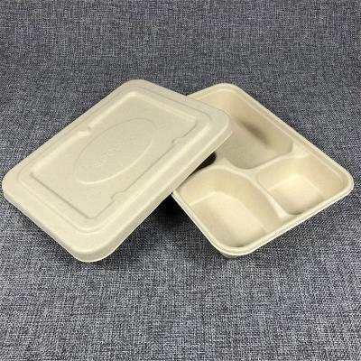 China X52 15%off Modern Biodegradable Rectangular Food Box 4 Compartment Bamboo Compostable Paper Pulp Paper Food Packaging for sale