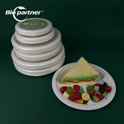 China Disposable Dish 3 Compartment 9In Square Bagasse Disposable Eco-Friendly 100% Compostable Heavy Duty for sale