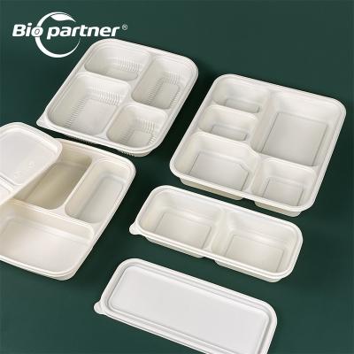 China Cornstarch AF20 2 5 Compartment Bento Biodegradable Food Packaging Disposable Degradable Snack Bowl For Kid for sale