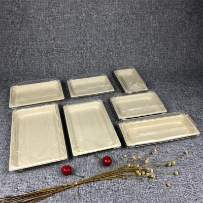 China Restaurant X.21 Biodegradable Disposable To Go Sushi Container Sugarcane Bagasse Pulp Sushi Takeout Tray With Plate Lid for sale