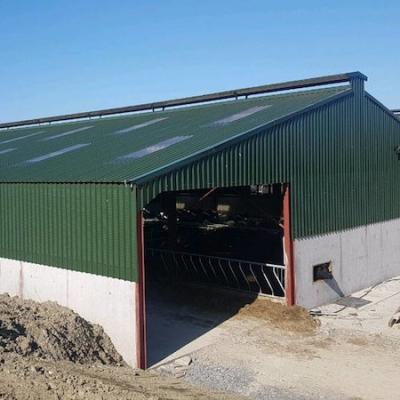 China Poultry Poultry Farm Shed Sweet Bargain Roofing Shed Building for sale