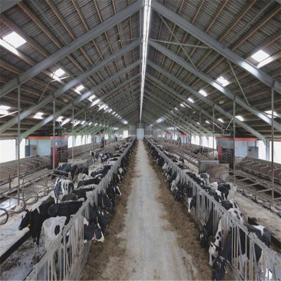 China Durable Customized Workshop China HJSD-S Steel Structure Steel Dairy Cow Shed for sale